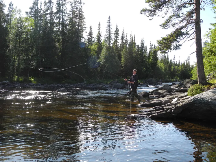 Flugfiskare som fiskar i å.
