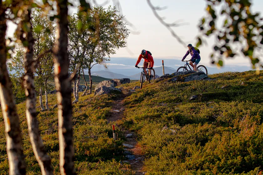 Två cyklister på mountain bike, cyklar på cykelled i fjällmiljö.