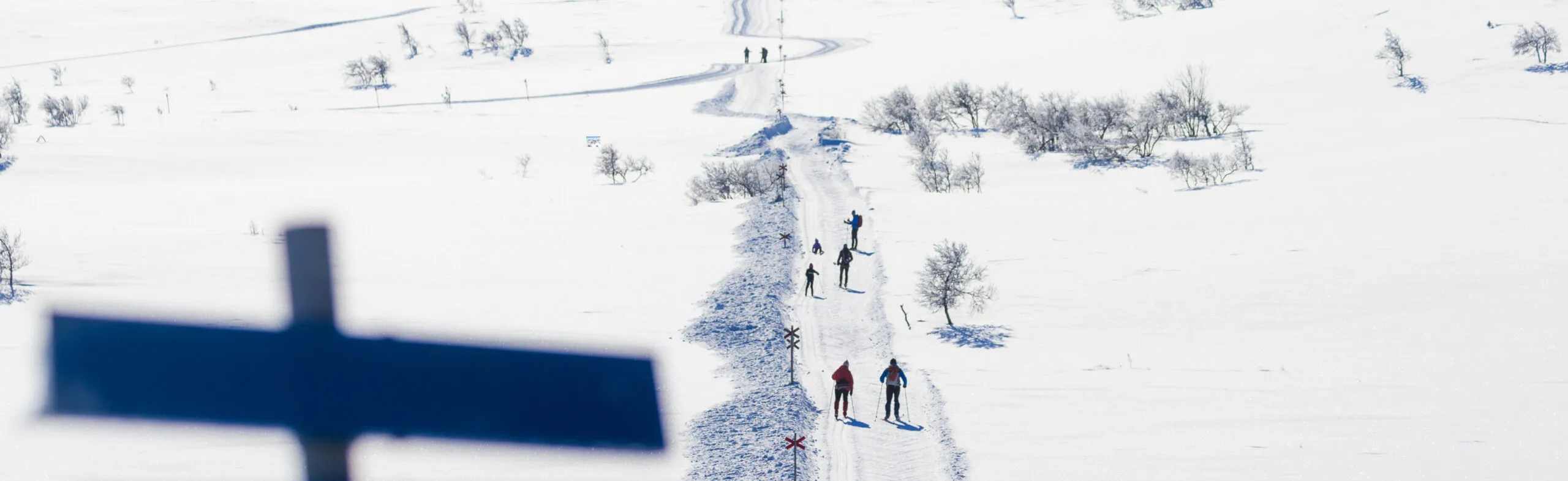 Personer åker skidor på fjället