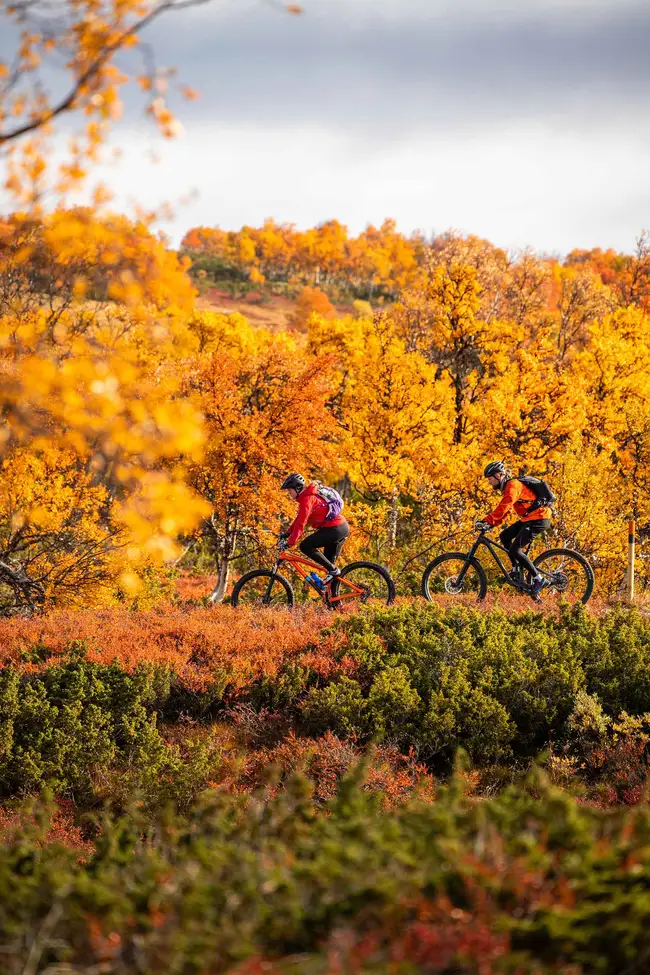 Två cyklister i höstfärger på Fålåtjärnsrundan