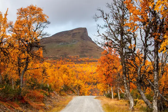 Mittåkläppen och grusvägen mot Mittåkläppen
