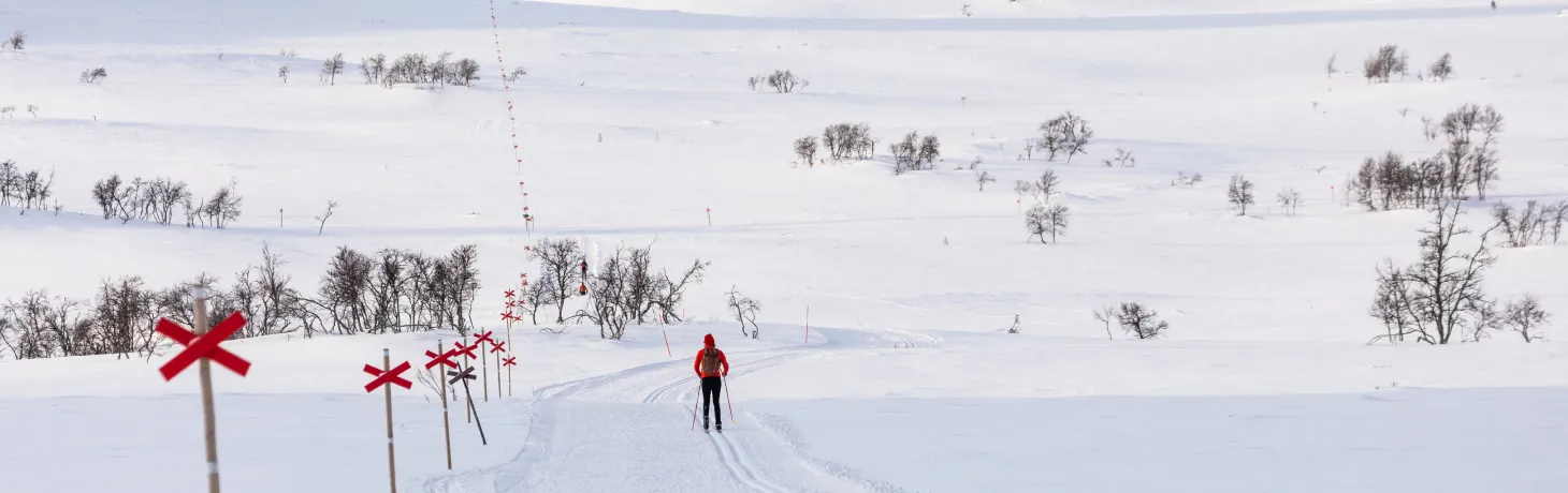 Man åker längdskidor på fjället