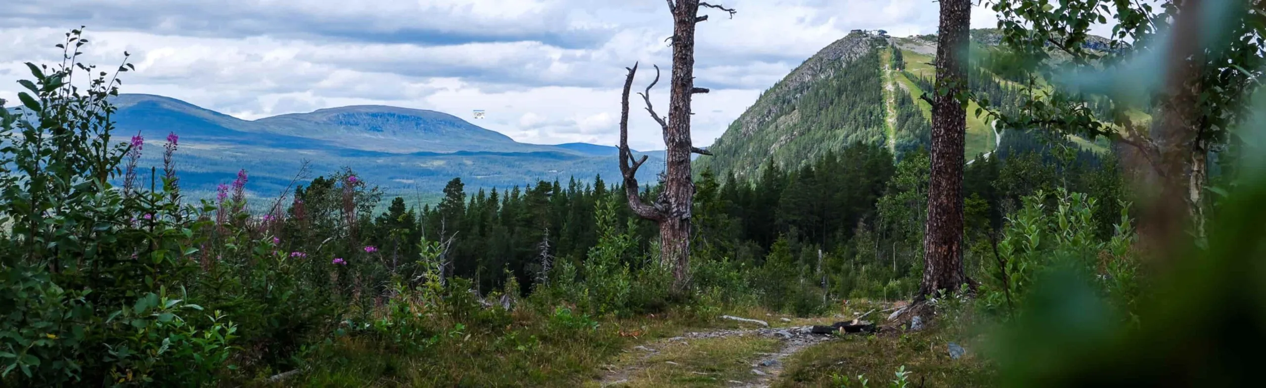 Vandringsled Röstberget Funäsdalen