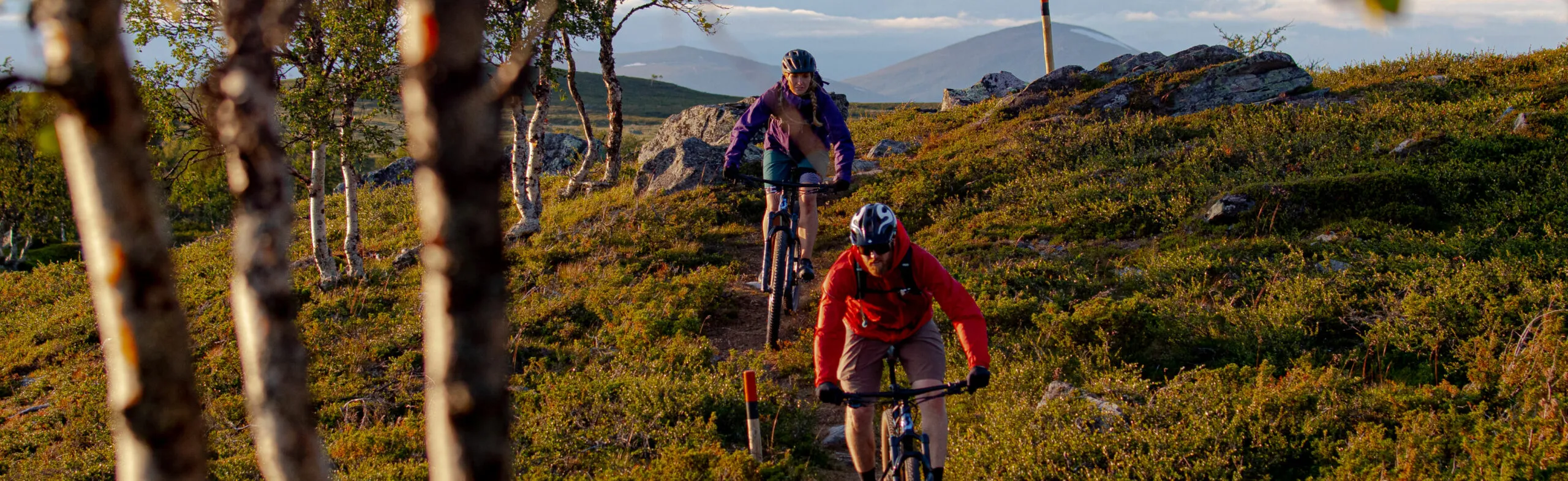 Två personer fjällcyklar