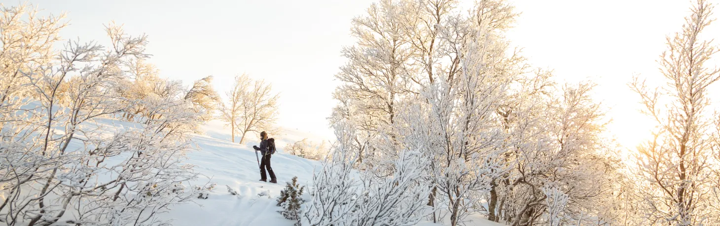 Kvinna går med skidor uppför ett fjäll