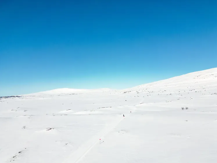 Person åker skidor på Solskensturen en vårvinter dag