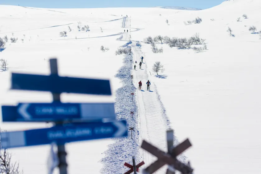 Personer åker längdskidor på fjället