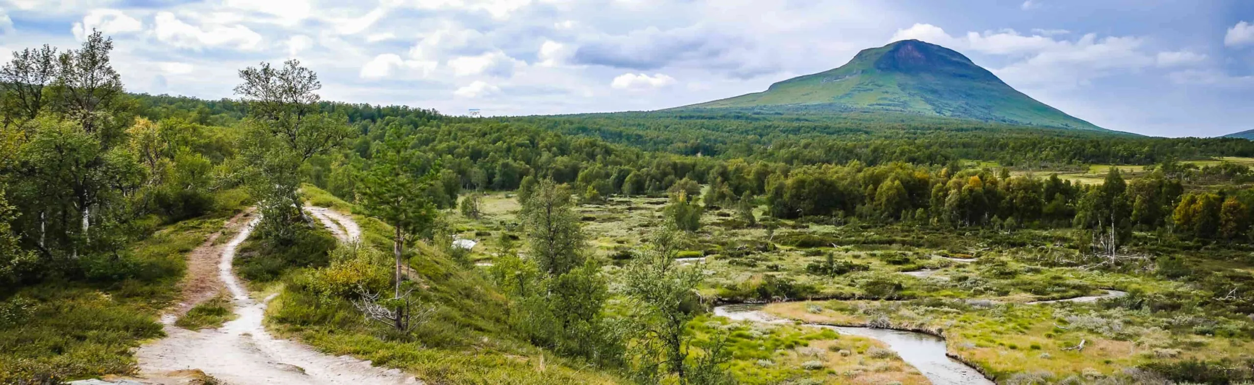 Viteggen sett från Säterturen