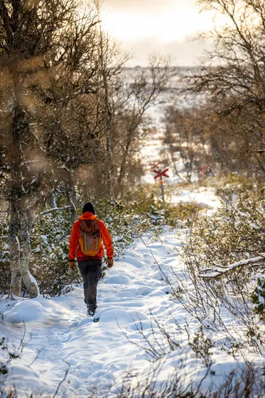 Leder för vintervandring