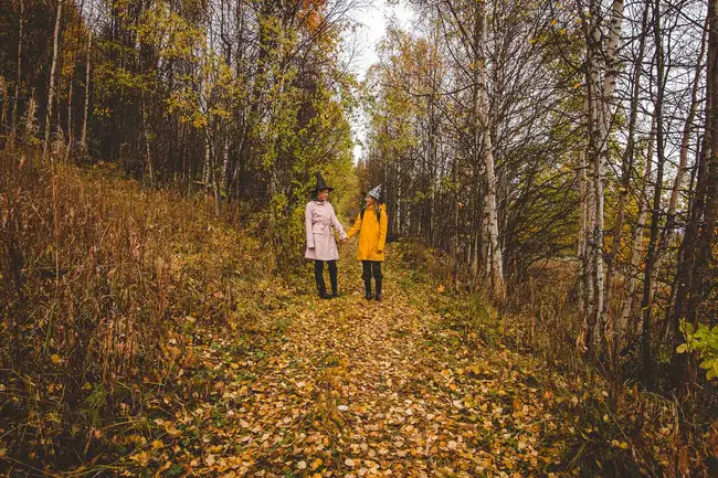 Två tjejer i häxhattar i gulnande björkskog