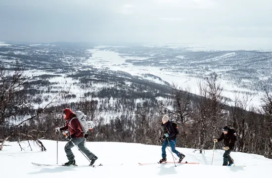 Tre personer går på topptur på Hamrafjället