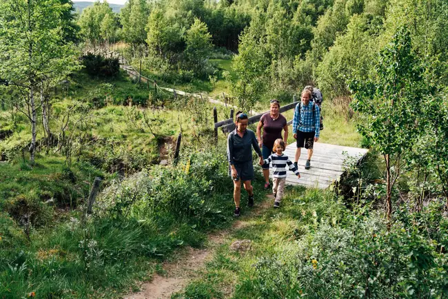 en familj är ute och vandrar i fjällen med sina barn