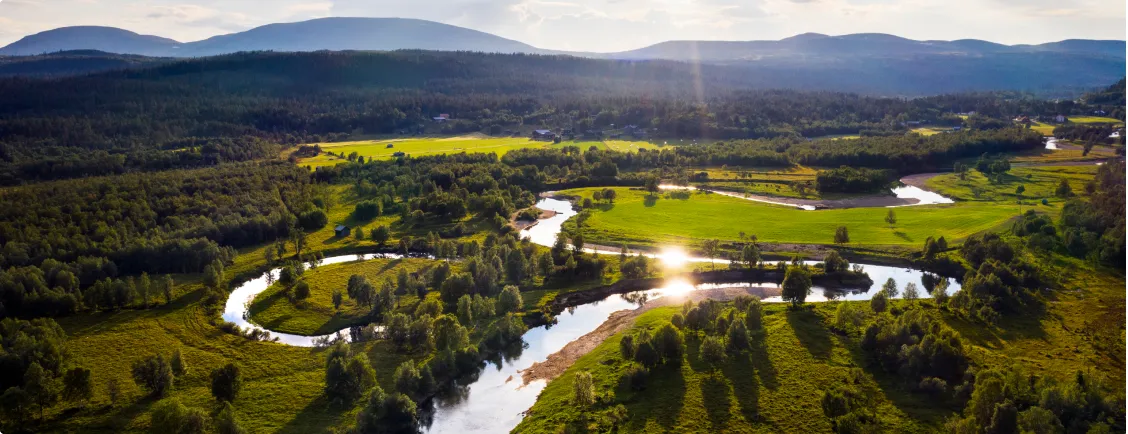 Ljusnan en sommarkväll
