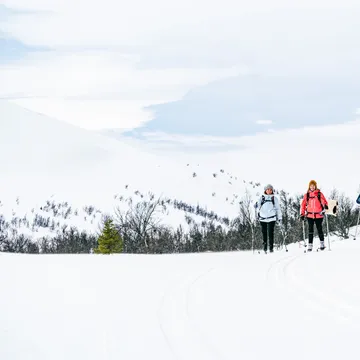 Tre personer åker längdskidor vid Andersborg