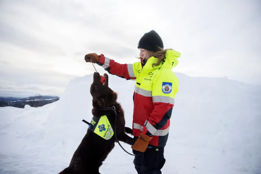 Kvinna leker med sin lavinhund