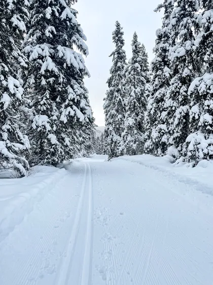 Längdspår mellan Funäsdalen och Bruksvallarna