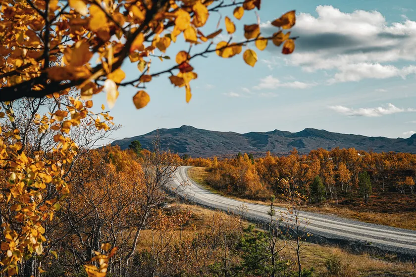 Cykla gravel i Funäsfjällen