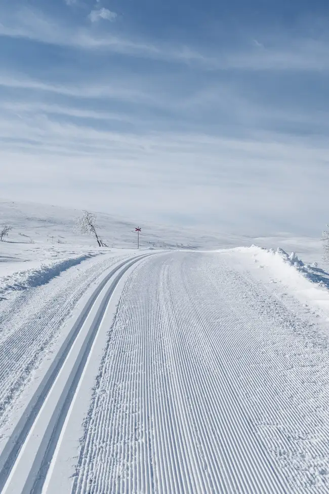 Längdspår på fjället