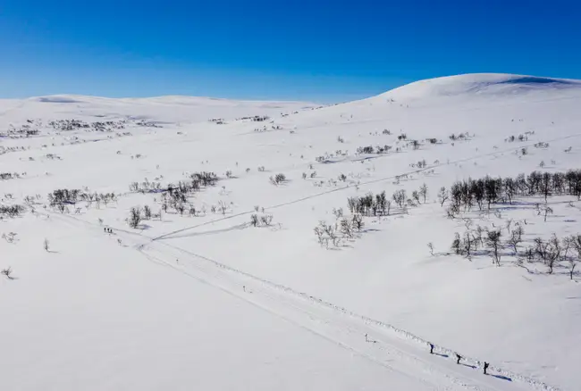 Tre personer åker längdskidor på fjället i Funäsfjällen