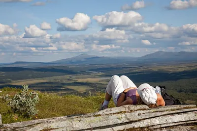Fjällvandra